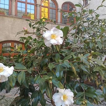 Di Charme Palazzo Lambertenghi 4* Тирано